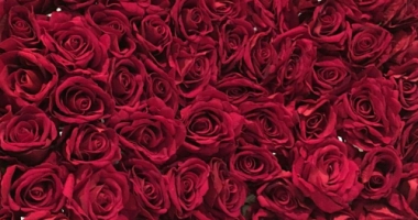 Ravish-Red