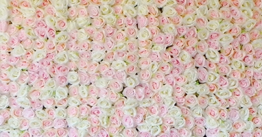 pastelpink