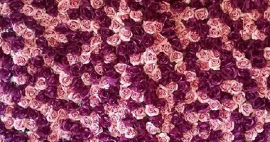 perfect-purple