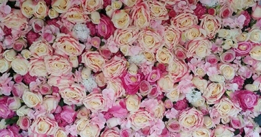 petite-pink