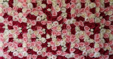 precious-pink